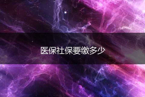 医保社保要缴多少