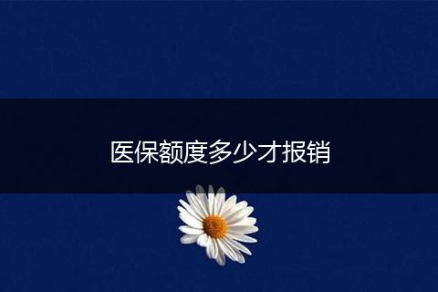 医保额度多少才报销