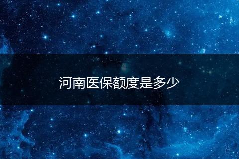 河南医保额度是多少