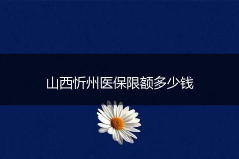 山西忻州医保限额多少钱
