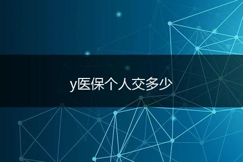 y医保个人交多少