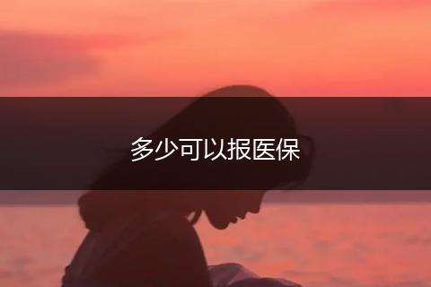 多少可以报医保