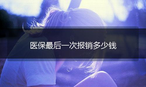 医保最后一次报销多少钱