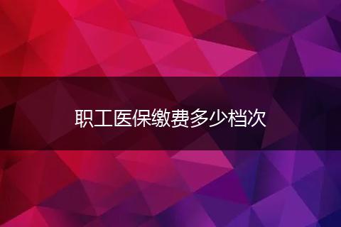 职工医保缴费多少档次