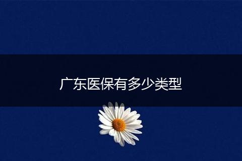 广东医保有多少类型