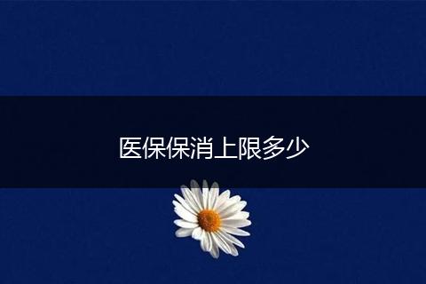 医保保消上限多少