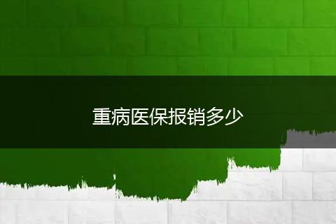 重病医保报销多少