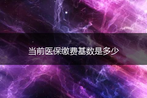 当前医保缴费基数是多少