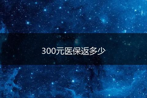 300元医保返多少