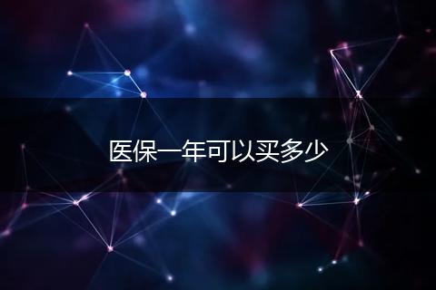 医保一年可以买多少