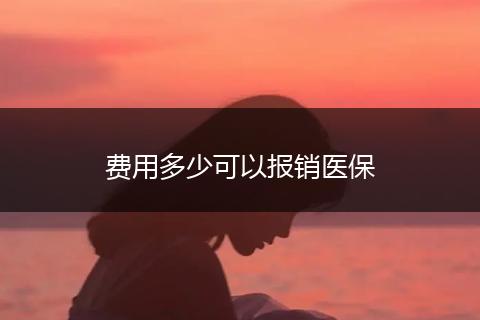 费用多少可以报销医保