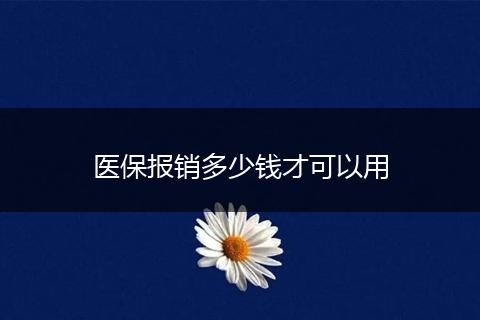 医保报销多少钱才可以用