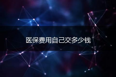 医保费用自己交多少钱