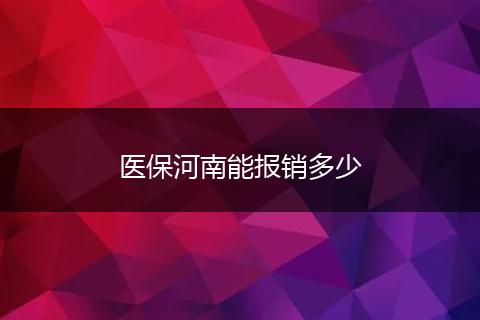 医保河南能报销多少
