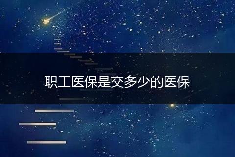 职工医保是交多少的医保
