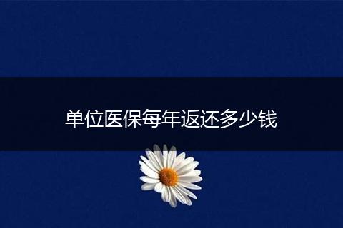 单位医保每年返还多少钱