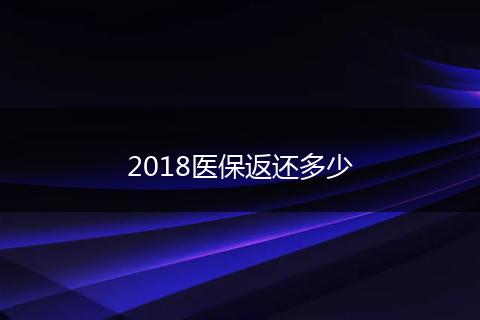2018医保返还多少