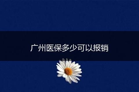 广州医保多少可以报销