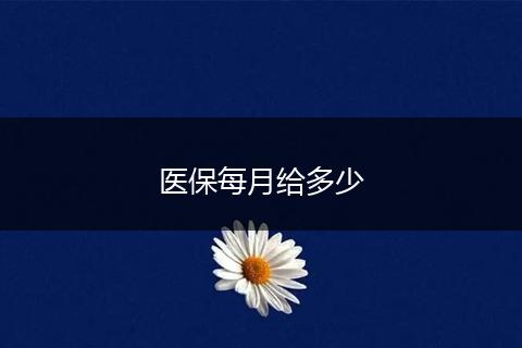 医保每月给多少