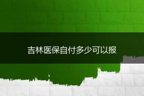 吉林医保自付多少可以报