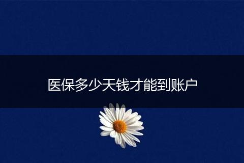 医保多少天钱才能到账户