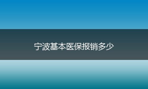 宁波基本医保报销多少