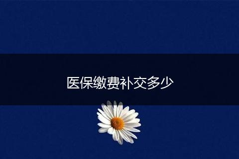 医保缴费补交多少