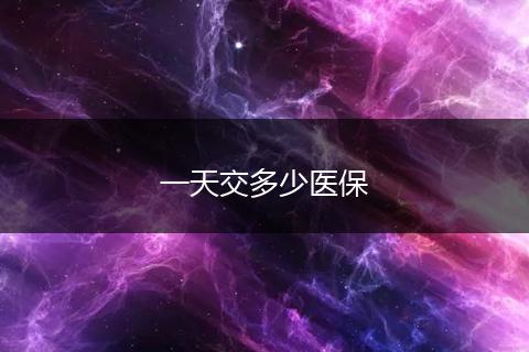 一天交多少医保