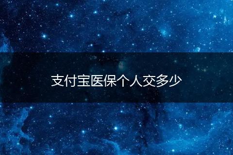 支付宝医保个人交多少