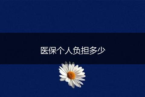医保个人负担多少