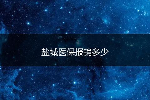盐城医保报销多少