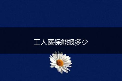 工人医保能报多少