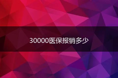 30000医保报销多少