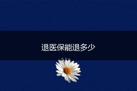 退医保能退多少