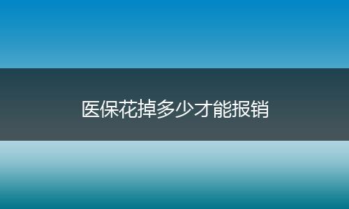 医保花掉多少才能报销
