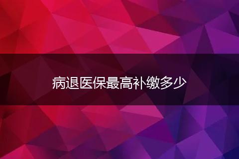 病退医保最高补缴多少