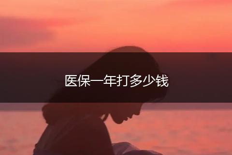 医保一年打多少钱