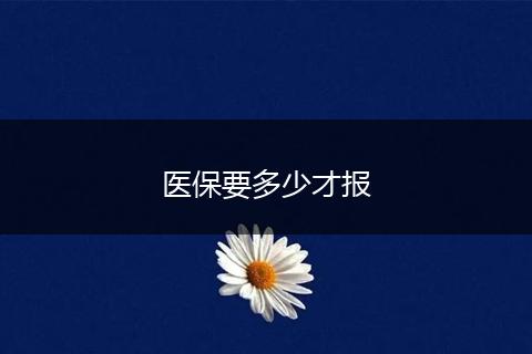 医保要多少才报