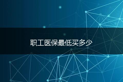 职工医保最低买多少