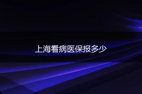 上海看病医保报多少