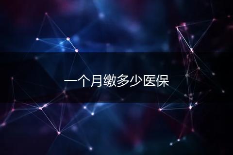 一个月缴多少医保