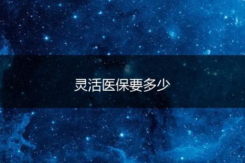 灵活医保要多少