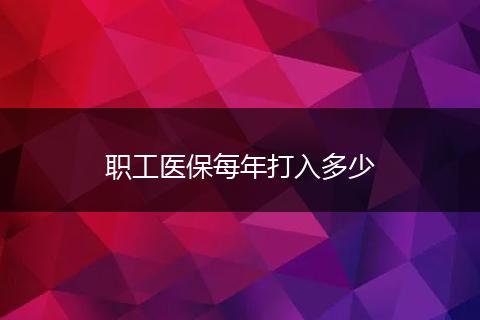职工医保每年打入多少