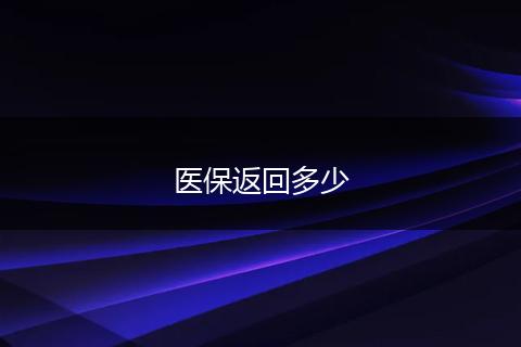 医保返回多少