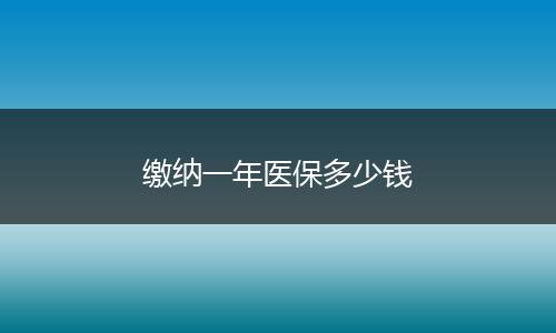 缴纳一年医保多少钱
