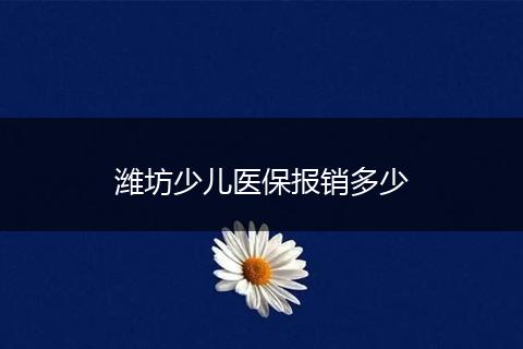 潍坊少儿医保报销多少