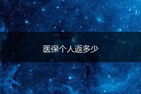 医保个人返多少