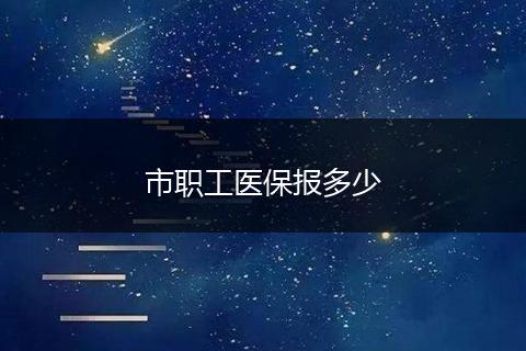 市职工医保报多少