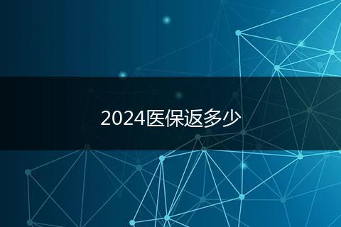 2024医保返多少