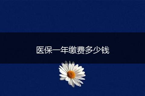 医保一年缴费多少钱